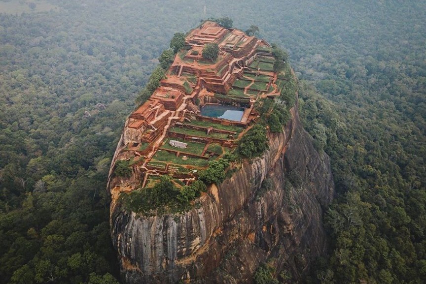 Bougainvilleas on Lombard Street,  San Francisco, Tokyo
