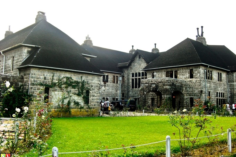 Bougainvilleas on Lombard Street,  San Francisco, Tokyo