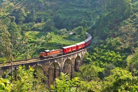 Bougainvilleas on Lombard Street,  San Francisco, Tokyo