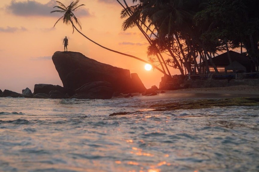 Bougainvilleas on Lombard Street,  San Francisco, Tokyo